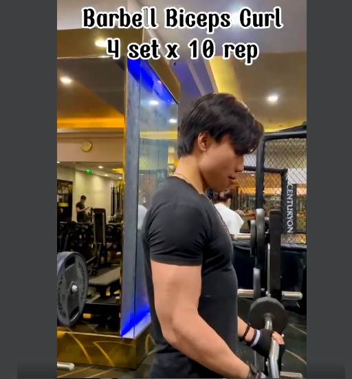 Barbell biceps curl